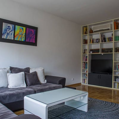 Rental of a 2-room apartment near the Temple of Saint Sava, 56 m², Vračar, Belgrade, Serbia